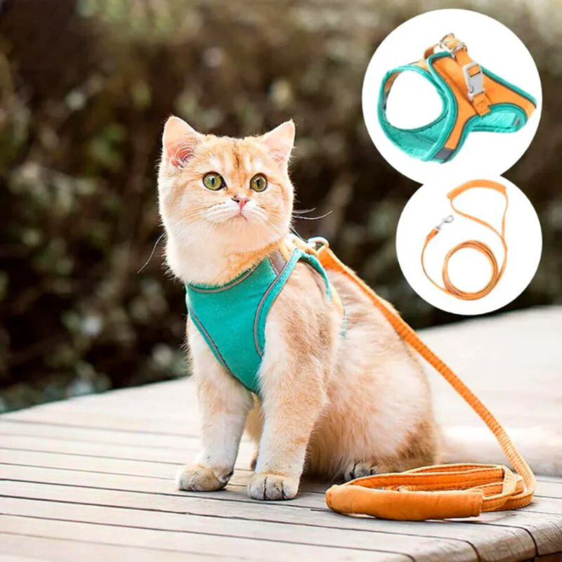 Comfortabele en veilige kattenharnas - Ideaal voor uitjes