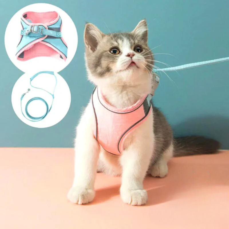Comfortabele en veilige kattenharnas - Ideaal voor uitjes