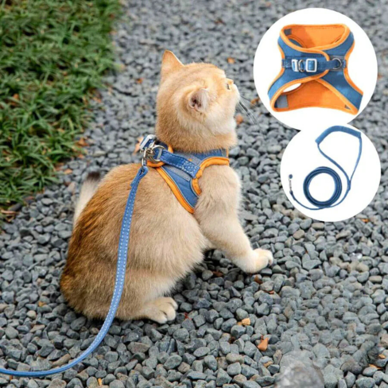 Comfortabele en veilige kattenharnas - Ideaal voor uitjes