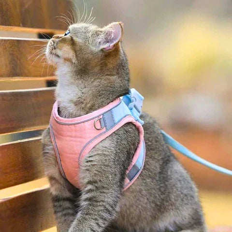Comfortabele en veilige kattenharnas - Ideaal voor uitjes