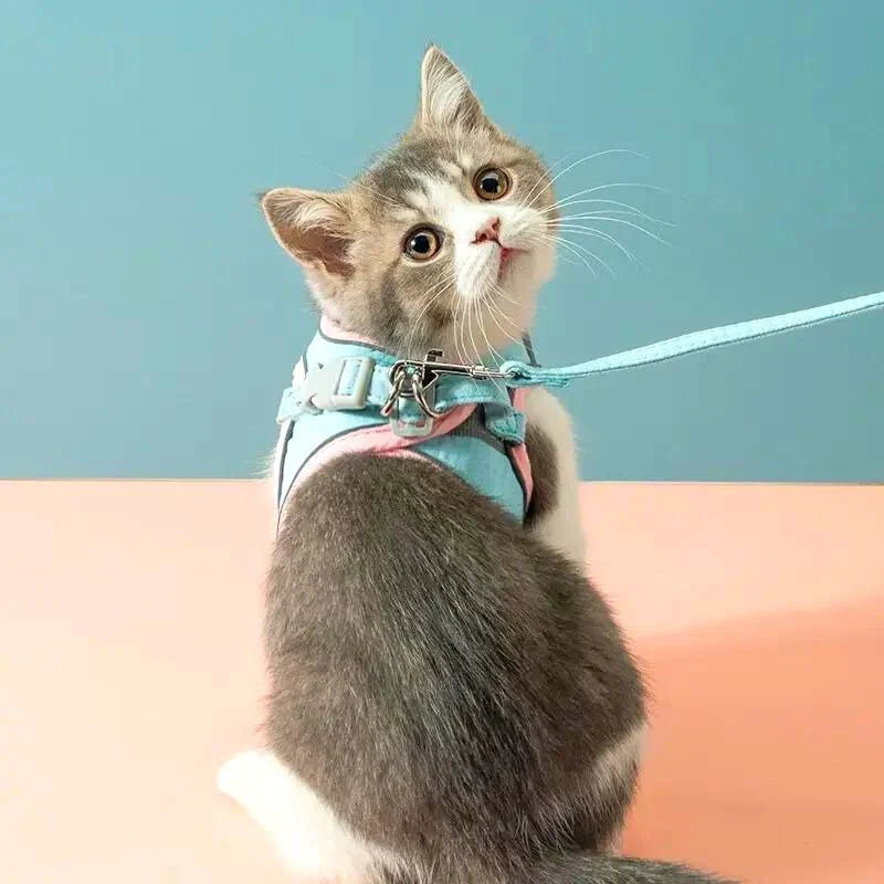 Comfortabele en veilige kattenharnas - Ideaal voor uitjes